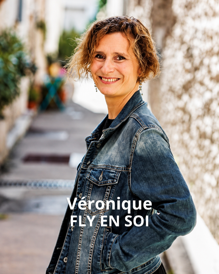 Fly en soi